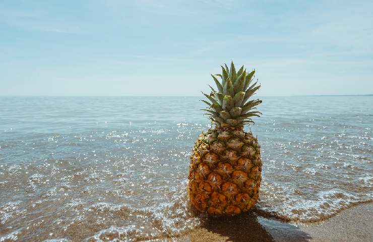 Un ananas in riva al mare