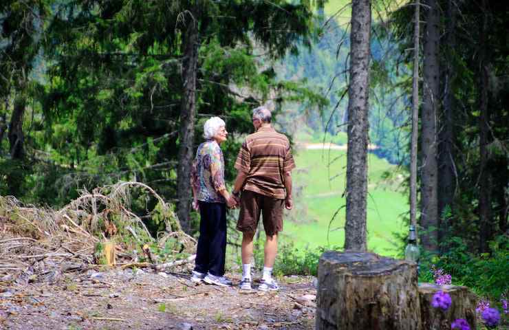 Coppia che si tiene per mano guardandosi negli occhi mentre passeggia in una foresta