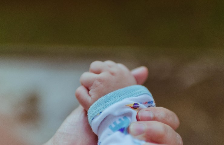 Mano di un bambino piccolo