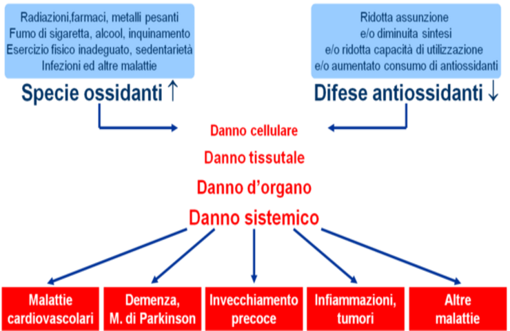 stress ossidativo