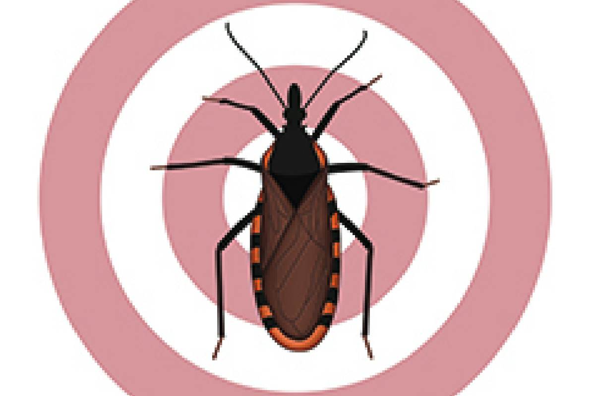 Malattia chagas