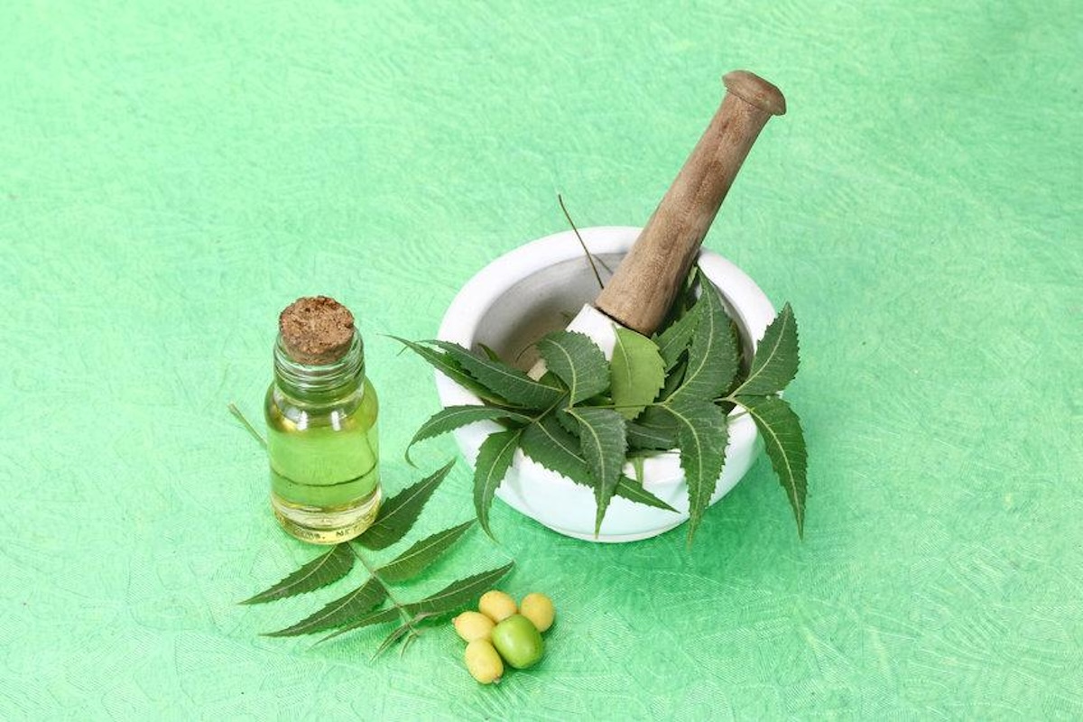Olio di neem, i benefici