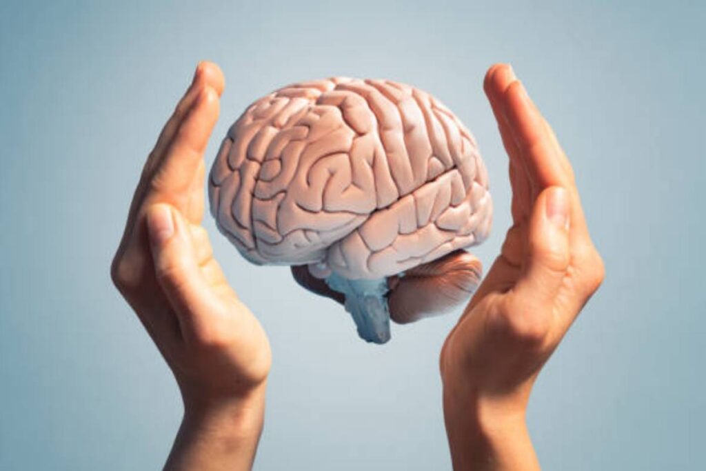 La "casa dei ricordi" nel cervello: di cosa si tratta