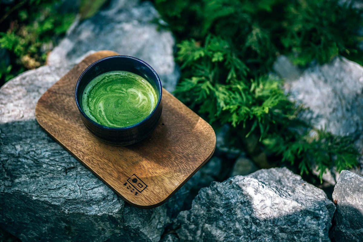 Cacao e tè verde: uno studio britannico svela i loro benefici contro i danni dei cibi grassi