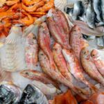 Consumo di pesce e sclerosi multipla