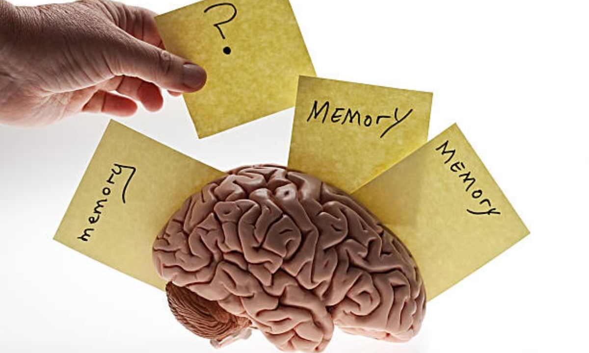 Tecnologie digitali e declino cognitivo