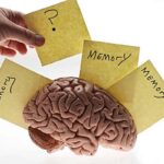 Tecnologie digitali e declino cognitivo