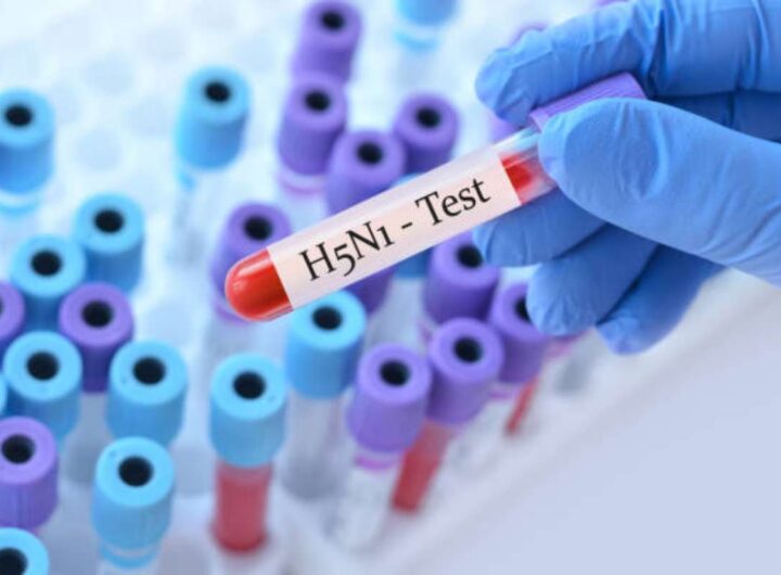 Allarme pandemia influenza aviaria