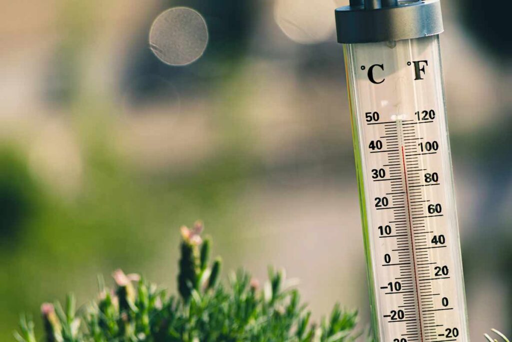 Ondata di caldo - Nella foto: un termometro all'aperto durante una giornata soleggiata