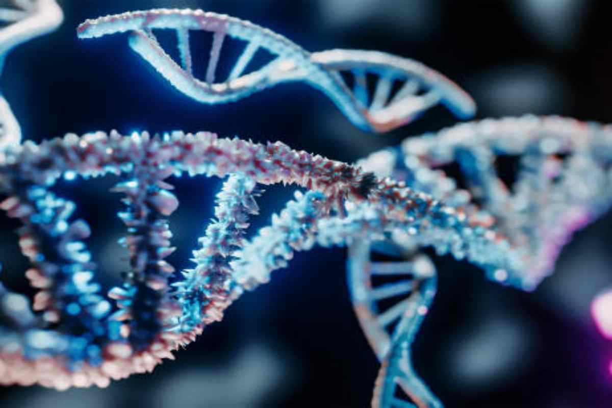 Mutazione genetica che aumenta il rischio di morti improvvise