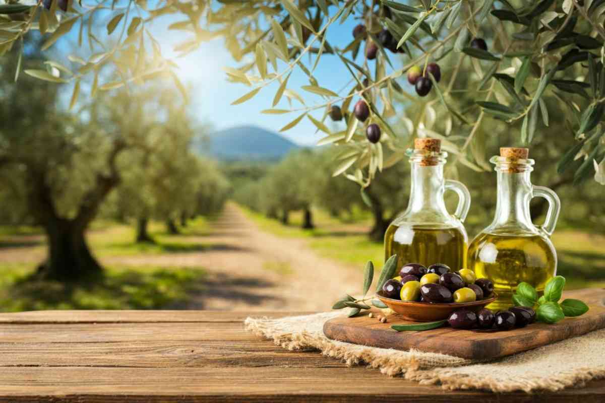 Olive: i sorprendenti benefici per intestino, cuore e cervello secondo la scienza