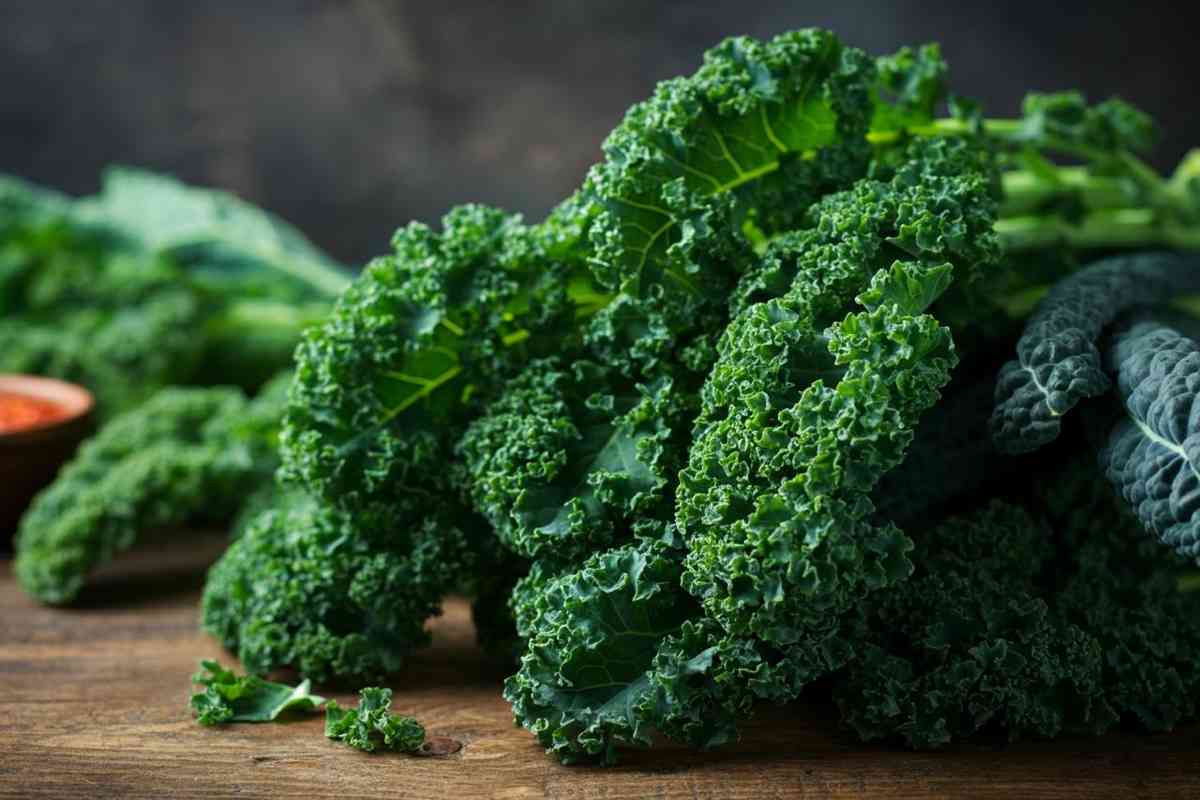 Cavolo riccio: il superortaggio che promuove la longevità e il benessere