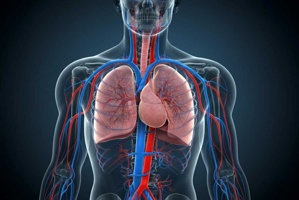Scopri i segnali d'allerta della trombosi: come riconoscere una cattiva circolazione