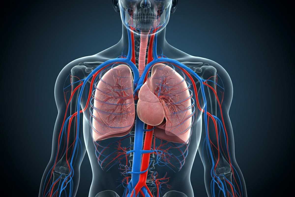 Scopri i segnali d'allerta della trombosi: come riconoscere una cattiva circolazione