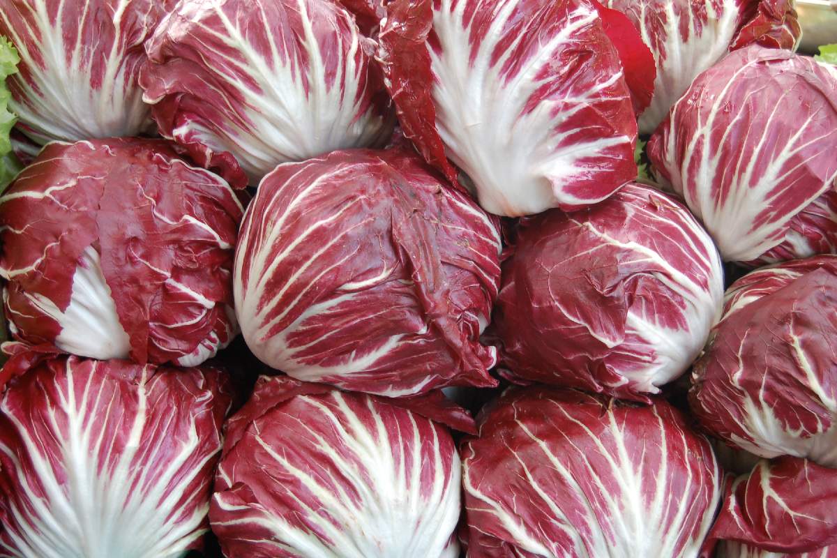 Del radicchio rosso
