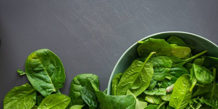Gli spinaci sono un'ottima fonte di vitamina K