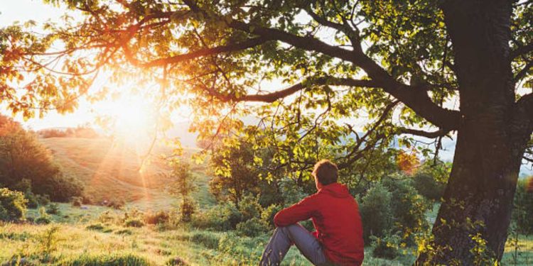 Psicoterapia nella natura