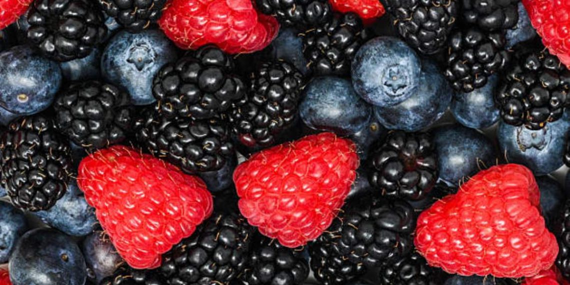 Epatite A, occhio anche ai frutti di bosco