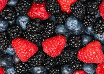 Epatite A, occhio anche ai frutti di bosco