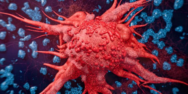 I single sono più esposti al rischio tumori