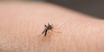 Malaria