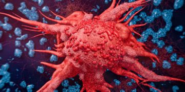 Trovate le molecole che rendono aggressivi i tumori