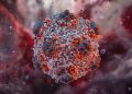 Hantavirus