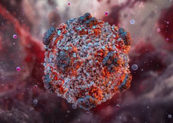 Hantavirus