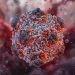 Hantavirus