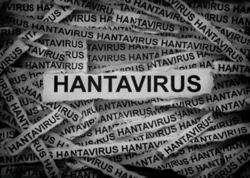 Hantavirus
