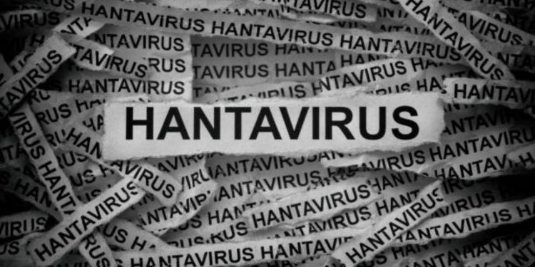 Hantavirus