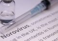 Norovirus