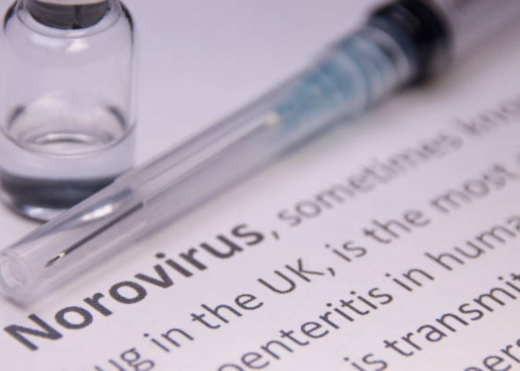 Norovirus