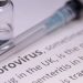 Norovirus