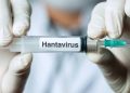 Oms sull'hantavirus